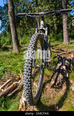 Mountain bike nei boschi con focus sul pneumatico e del profilo della ruota anteriore Foto Stock