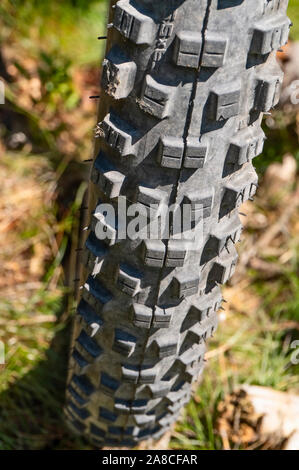 Dettaglio del profilo di una mountain bike pneumatico Foto Stock