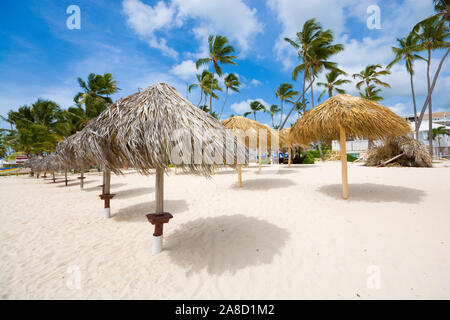 Palm tree lascia ombrelloni sulla spiaggia di Punta Cana, Repubblica Dominicana Foto Stock