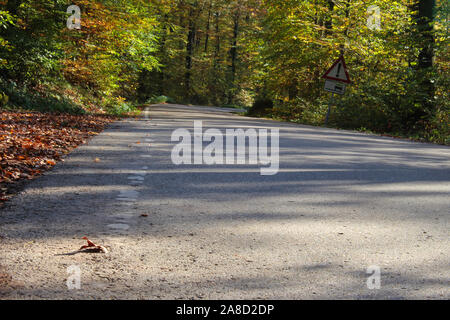 La strada attraverso autunno foresta colorata con segnaletica di pericolo non asfaltata striscia di bordo, la messa a fuoco su oggetti in primo piano Foto Stock