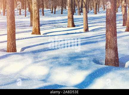 Tramonto in inverno il paesaggio con alberi forestali e cumuli di neve bianca in primo piano. Colorata foresta invernale nella luce del tramonto Foto Stock