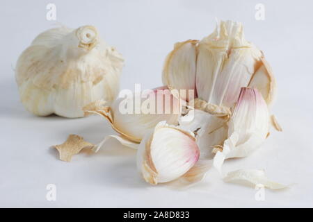 Allium sativum " Lautrec Wight'. La lampadina di 'Lautrec Wight' aglio split aperta a rivelare i chiodi di garofano. Regno Unito Foto Stock