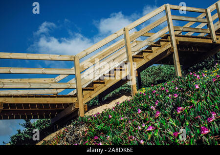 Spiaggia di falesia di scale di accesso con una copertura di terra di Carpobrotus edulis (noto anche come Hottentot-fig, impianto di ghiaccio, autostrada impianto di ghiaccio, pigface, sour fig) Foto Stock