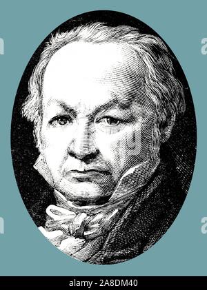 Francisco de Goya Lucientes (1746-1828), pintor y grabador español. Grabado de 1877. Foto Stock