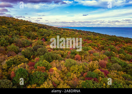 Vista aerea da fuco di colori d'autunno foresta e mare Foto Stock
