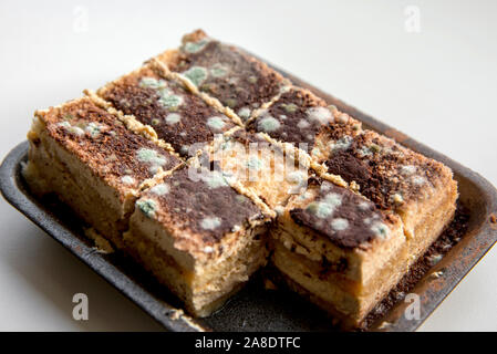 Concetto di condizioni di conservazione non corrette. Macchie di stampaggio verde sulla torta. Pericolo per la salute. Foto Stock