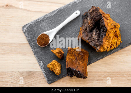 Puro sano selvaggio chaga fungo Inonotus obliquus polvere e frammenti formano il tè, caffè e porre rimedio a base di erbe. Raccolte da betulla trun Foto Stock