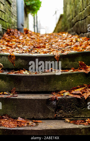 Foglie di autunno sui gradini di pietra Foto Stock