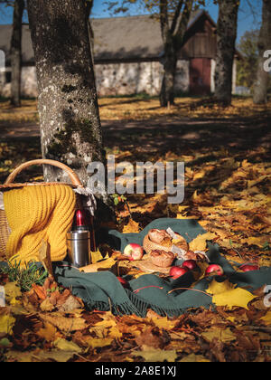 Autunno picnic in una giornata di sole nel parco. Coperta picnic con mele, ciambelle alla cannella e thermoses Foto Stock