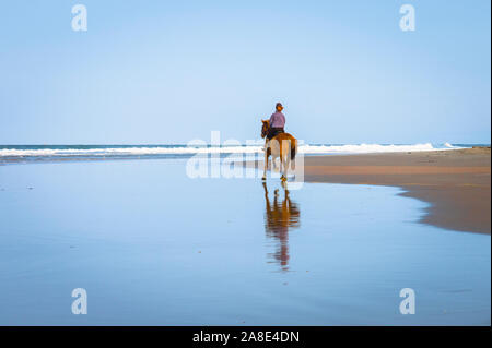 Lone horsewoman su una spiaggia. Foto Stock