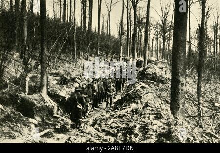 "Fanteria canadese in un legno nella parte anteriore', la prima guerra mondiale, 1915-1916, (c1920). Soldati alleati nel Nord della Francia o del Belgio. Da "La Grande Guerra Mondiale: una storia", Volume V, edito da Frank un Mumby. [Il Gresham Publishing Company Ltd, Londra, c1920] Foto Stock