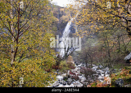 I colori autunnali a Aber Falls (Rhaeadr Fawr) cascata in Coedydd Aber riserva naturale nazionale nel Parco Nazionale di Snowdonia. Abergwyngregyn Gwynedd in Galles Foto Stock