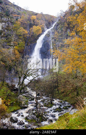 I colori autunnali a Aber Falls (Rhaeadr Fawr) cascata in Coedydd Aber riserva naturale nazionale nel Parco Nazionale di Snowdonia. Abergwyngregyn Gwynedd in Galles Foto Stock