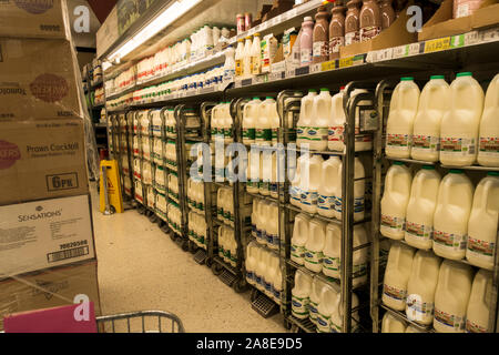 Selezione di latte in un supermercato, Inghilterra, Regno Unito. Foto Stock