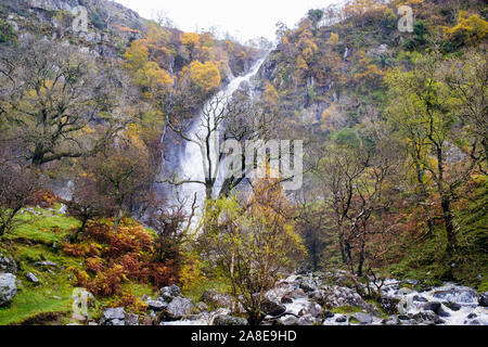 I colori autunnali a Aber Falls (Rhaeadr Fawr) cascata in Coedydd Aber riserva naturale nazionale nel Parco Nazionale di Snowdonia. Abergwyngregyn Gwynedd in Galles Foto Stock