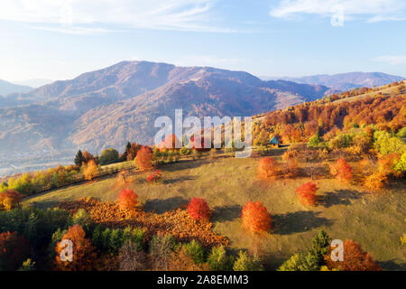 Autunno pittoresco prato con casa in legno e il bosco di faggi rossi alberi nelle montagne dei Carpazi, Ucraina. Fotografia di paesaggi Foto Stock