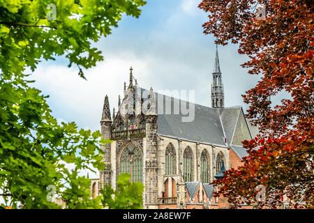 Hooglandse Kerk, old protestante in stile gotico Duomo, parzialmente nascosti nel fogliame, Leiden, Paesi Bassi Foto Stock