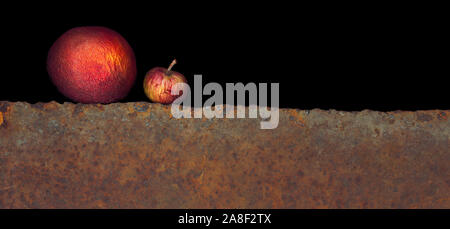 Fotografia dello scanner creato con un flat-letto dello scanner con risoluzione ultra-alta Foto Stock