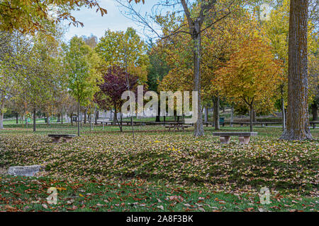 Campo con tavoli e panche per snack piegato con foglie d'arancio e multicolore gli alberi del parco di Henar una giornata autunnale. A Cuellar. Castilla e Leo Foto Stock