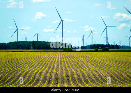 Situato nel Michigan Caseville nella zona del pollice del Michigan. Una centrale eolica o parco eolico, chiamato anche un vento power station o impianto eolico, Foto Stock