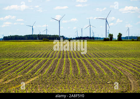 Situato nel Michigan Caseville nella zona del pollice del Michigan. Una centrale eolica o parco eolico, chiamato anche un vento power station o impianto eolico, Foto Stock