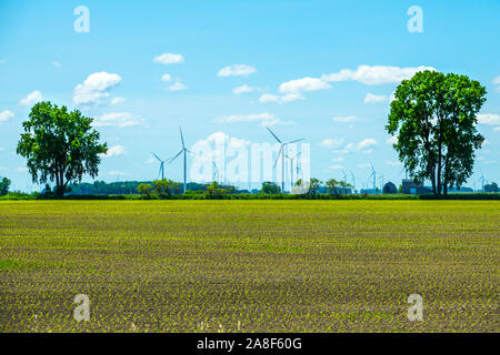 Situato nel Michigan Caseville nella zona del pollice del Michigan. Una centrale eolica o parco eolico, chiamato anche un vento power station o impianto eolico, Foto Stock