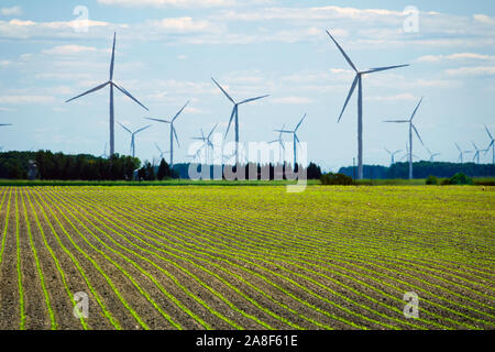 Situato nel Michigan Caseville nella zona del pollice del Michigan. Una centrale eolica o parco eolico, chiamato anche un vento power station o impianto eolico, Foto Stock