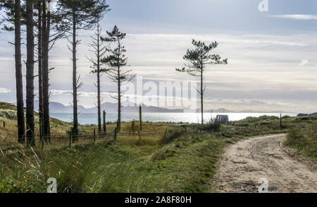 Un autunno con vista sul mare dalla foresta Newborough sull'Isola di Anglesey, Galles del Nord, Regno Unito. Presa il 28 ottobre 2019. Foto Stock