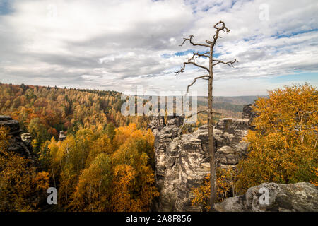 Paesaggio con rocce in montagne di arenaria il Tisa rocce, Tisa pareti (Tiske steny, Tyssaer W nde), Repubblica Ceca Foto Stock