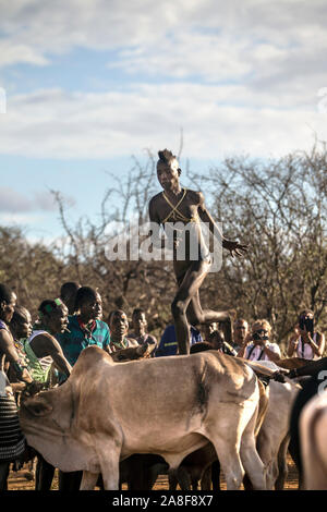 Giovane uomo bull jumping Hamar tribù cerimonia Turmi Etiopia Foto Stock