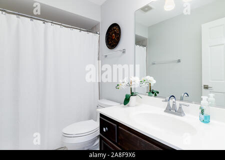 Un piccolo bagno residenziale in un condominio di Chicago con un vaso riempito di fiori e una bottiglia di sapone per le mani sul ripiano in granito. Foto Stock