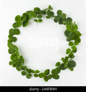 Trifoglio verde shamrock leafs ghirlanda di telaio di confine sul bianco. Il giorno di San Patrizio nel modello di cartolina. Foto Stock