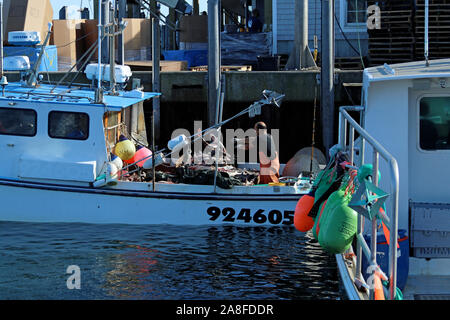 Un pescatore in arancione waders tossing palombo sulla sua barca a Chatham molo del Pesce, Cape Cod, Massachusetts Foto Stock