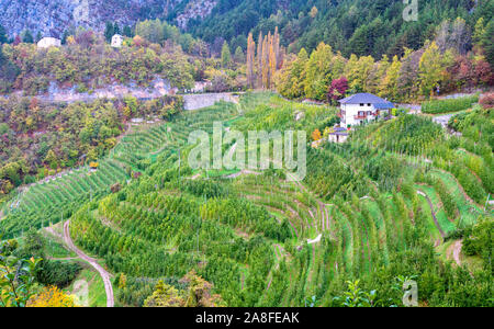 Idillica vista autunnale in Val di Non, in provincia di Trento, Trentino Alto Adige, Italia. Foto Stock