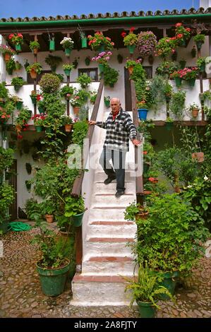 Tipico cortile di San Basilio, Cordoba, regione dell'Andalusia, Spagna, Europa. Foto Stock