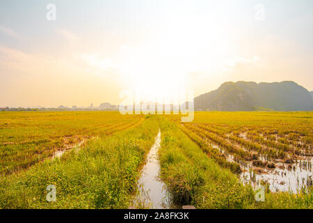Bellissima alba oltre il riso raccolto nei campi e montagne calcaree nel piccolo villaggio di Tam Coc, nel Vietnam del Nord Foto Stock