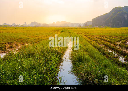Bellissima alba oltre il riso raccolto nei campi e montagne calcaree nel piccolo villaggio di Tam Coc, nel Vietnam del Nord Foto Stock