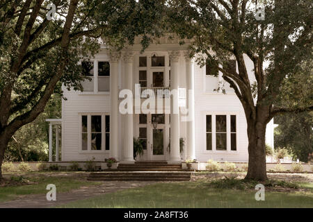 Un stile anteguerra casa di design neoclassico evidenziata da colonne corinzie e grandi alberi di quercia creando una tettoia ingresso in Hattiesburg MS Foto Stock