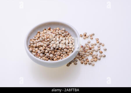 Non cotti materie Sorgo (noto anche come sorgo) in una ciotola bianco, isolato su sfondo bianco Foto Stock