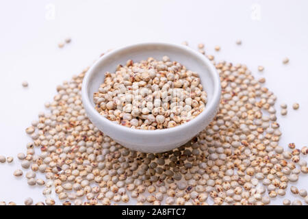 Non cotti materie Sorgo (noto anche come sorgo) in una ciotola bianco, isolato su sfondo bianco Foto Stock