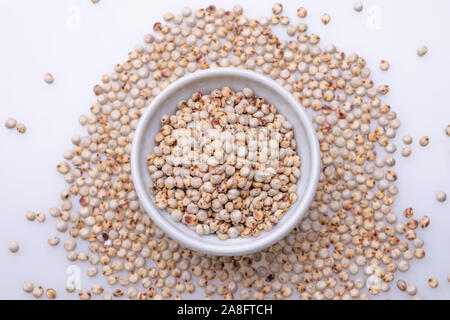 Non cotti materie Sorgo (noto anche come sorgo) in una ciotola bianco, isolato su sfondo bianco Foto Stock