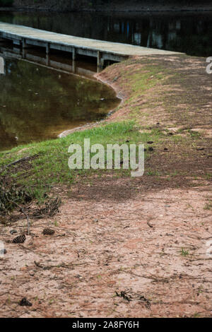 Un avvolgimento lato acqua percorso attraverso i pini conduce a una passerella di legno con acqua riflettente per una soluzione pacifica del Sud giorno Mississippi Foto Stock