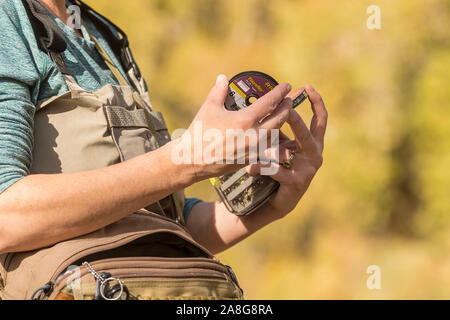 Una donna che tira il suo stelo della linea in uscita del suo hip pack su una soleggiata giornata di caduta lungo il fiume Poudre in Colorado. Foto Stock