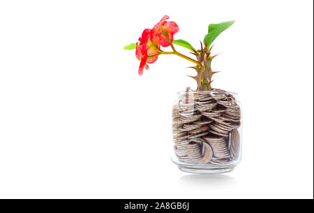 Albero con fiori che crescono sul vaso di vetro banca da un mucchio di monete con sfondo bianco, denaro stack per la pianificazione delle attività di business di investimento e il salvataggio del c Foto Stock