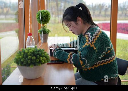 Pingxiang, la Cina della provincia di Jiangxi. 8 Novembre, 2019. Una donna si legge in una biblioteca pubblica in Xiangdong distretto della città Pingxiang, Cina orientale della provincia di Jiangxi, nov. 8, 2019. Credito: Peng Zhaozhi/Xinhua/Alamy Live News Foto Stock