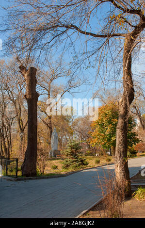 In autunno park sugli alberi le foglie è diventata gialla Foto Stock