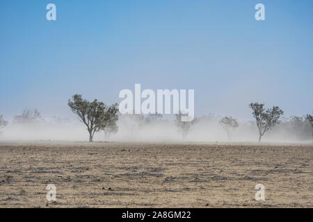 Tempesta di polvere su terra che è stata cancellata e viene nei periodi di siccità, vicino a Walgett, Nuovo Galles del Sud, NSW, Australia Foto Stock