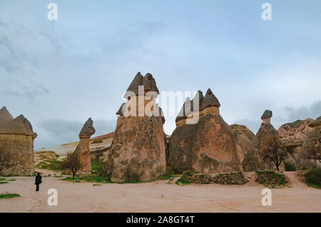 Rocce di tufo guarda come pietra di funghi in turco Cappadocia. Pashabag Valley Foto Stock