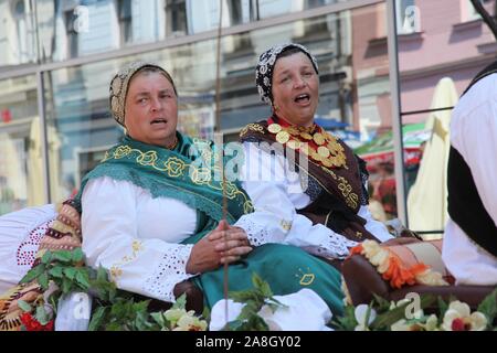 Partecipante sconosciuto in croato costume nazionale presso il cavallo e il carro di nozze visualizza durante Dakovo vezovi (Dakovo Summer Festival) in Dakovo, Croazia Foto Stock