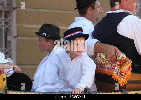 Partecipante sconosciuto in croato costume nazionale presso il cavallo e il carro di nozze visualizza durante Dakovo vezovi (Dakovo Summer Festival) in Dakovo, Croazia Foto Stock